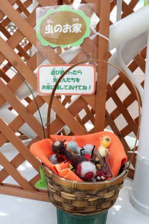 本日初日の神代植物公園「食虫植物展」！即売会もあります。