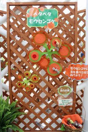 本日初日の神代植物公園「食虫植物展」！即売会もあります。