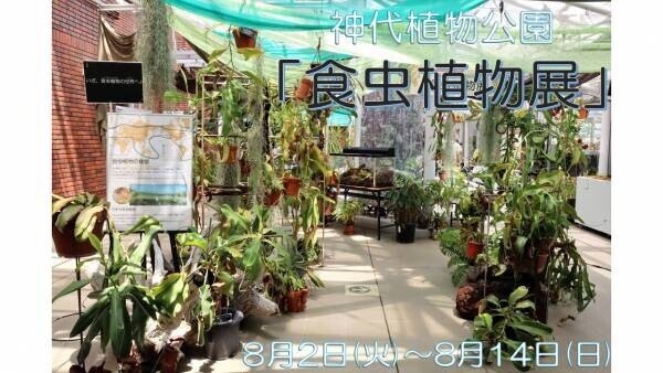 本日初日の神代植物公園「食虫植物展」！即売会もあります。
