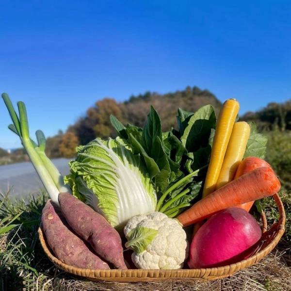 【茨城県日立市】TURNS×スカロケ移住推進部がコラボ！第２回「ひたちぐらしオンラインツアー」が3/12に開催！