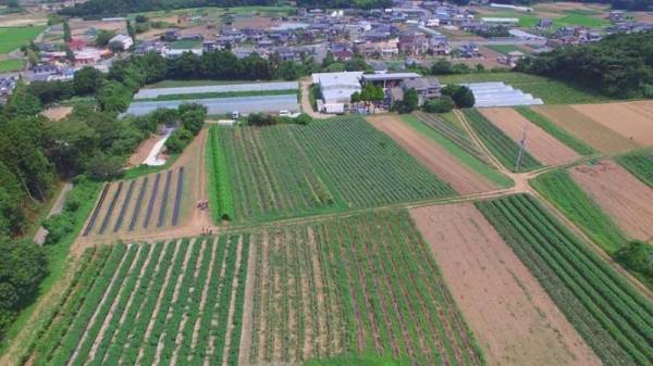 【茨城県日立市】TURNS×スカロケ移住推進部がコラボ！第２回「ひたちぐらしオンラインツアー」が3/12に開催！