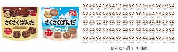 ぱんだの形のチョコビスケット「さくさくぱんだ」に 「さっぱり塩ミルク」が期間限定で登場！
