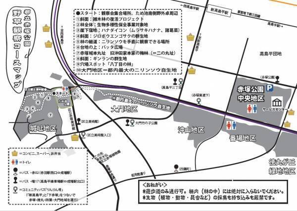 赤塚公園「ニリンソウ月間」開催中です