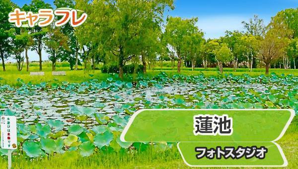 学園生活コミュニティ「キャラフレ」｜『紫陽花まつり』イベントのお知らせ