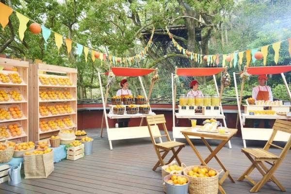 【リゾナーレ熱海】旬のミカンを食べ比べ！「ミカンフェス」開催｜期間：2022年11月1日～30日