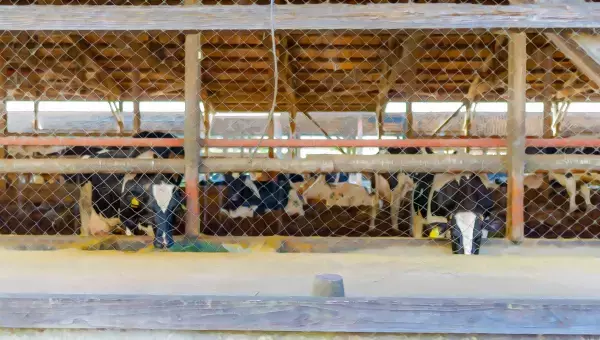 学園生活コミュニティ「キャラフレ」｜2021年度卒業旅行イベント『滋賀・びわ湖』のお知らせ