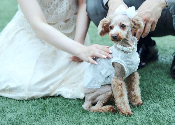 【芦屋】好評につきジューンブライド月に追加開催決定！幸せを呼ぶ色“ブルー”をテーマにしたスイーツイベント『サムシングブルーアフタヌーンティー～幸せを呼ぶティータイム～』販売