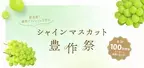 全国のシャインマスカットが勢揃い 産地直送通販サイト「ＪＡタウン」でシャインマスカット豊作祭を開催 ～合計１００万円分のお得なクーポンもプレゼント～