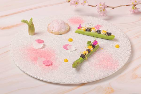 『春を楽しむ』3月からの新プラン