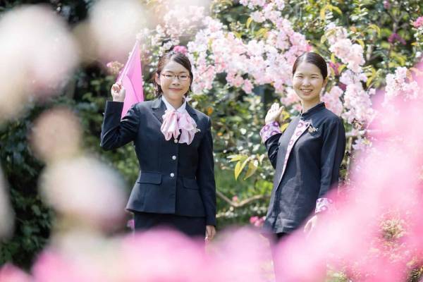 【界 アンジン】【界 伊東】ツアーを彩る桜バスガイドや桜のお菓子など春の味覚を堪能できるお花見セットが新たに誕生「桜オープンバスツアー」2023年も運行｜期間：2023年3月22日～4月9日
