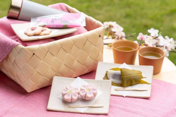 【界 アンジン】【界 伊東】ツアーを彩る桜バスガイドや桜のお菓子など春の味覚を堪能できるお花見セットが新たに誕生「桜オープンバスツアー」2023年も運行｜期間：2023年3月22日～4月9日