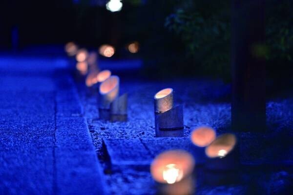 「京都・梨木神社　光の宮」を開催【SDGｓ先進都市・京都の新たな夜間コンテンツ】