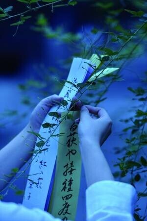 「京都・梨木神社　光の宮」を開催【SDGｓ先進都市・京都の新たな夜間コンテンツ】