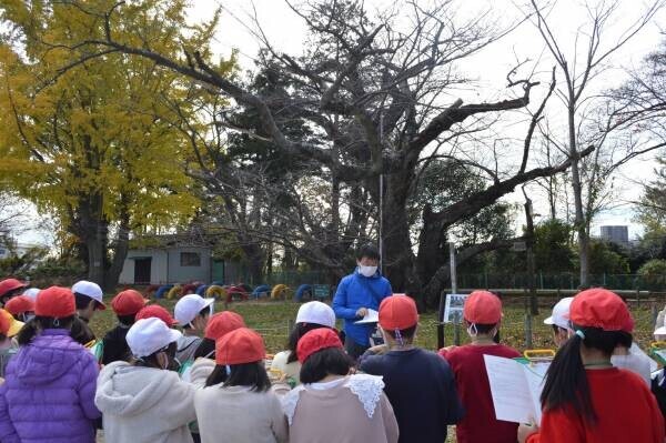 【茨城県日立市】さくら名所100選の地「かみね公園・平和通り」の桜を植え替え、「さくらのまち日立」の原風景を次の世代に引き継ぎたい