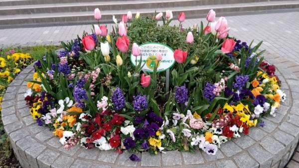 まいばすけっと株式会社様より 東京都都市緑化基金にご寄付をいただきました