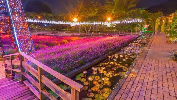 学園生活コミュニティ「キャラフレ」｜『あしかがフラワーパーク』を「冬のイルミネーション」にリニューアル