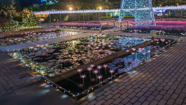 学園生活コミュニティ「キャラフレ」｜『あしかがフラワーパーク』を「冬のイルミネーション」にリニューアル