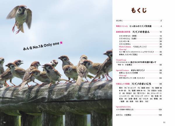 大ヒットシリーズ「スズメビジュアルガイド」の決定版！ 新刊『にっぽんのスズメ』10月5日発売！