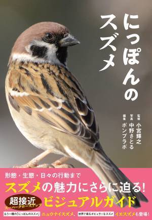 大ヒットシリーズ「スズメビジュアルガイド」の決定版！ 新刊『にっぽんのスズメ』10月5日発売！