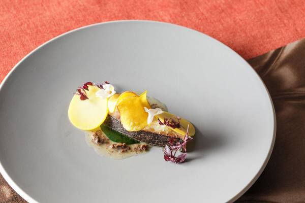 食欲の秋到来！芋・栗・南瓜などの秋の味覚を使用した、アーティスティックなフレンチコース登場！ 『アーティスティックフレンチ～taste of fall～』 期間限定販売