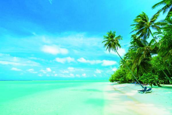 【ライフ】2か月で完売したコラボ缶チューハイの第2弾が登場！「アサヒ　贅沢搾りマンゴー＆パッション　350ml」を数量限定で新発売