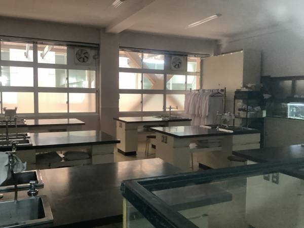 今度の舞台は学校!? ふしぎバスターズオンライン新作開催決定！