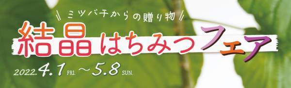 固まっても嫌がらないで　 シャリシャリ&クリーミーを楽しむ「結晶はちみつフェア」開催