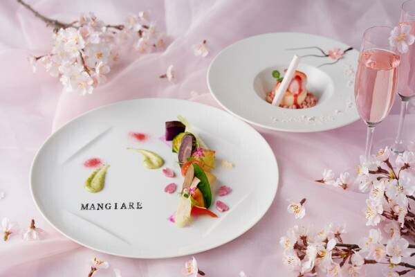 【横浜】桜の名所近くで楽しむ、桜×抹茶のアフタヌーンティーが新登場！桜のお花見ランチや”夜桜”個室プラン、テイクアウト用スイーツも販売