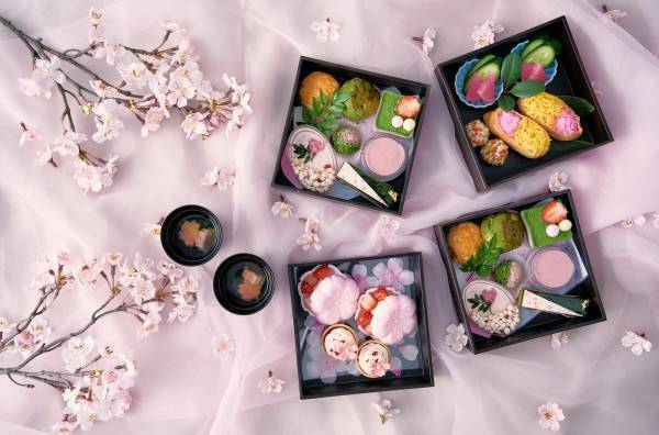 【横浜】桜の名所近くで楽しむ、桜×抹茶のアフタヌーンティーが新登場！桜のお花見ランチや”夜桜”個室プラン、テイクアウト用スイーツも販売