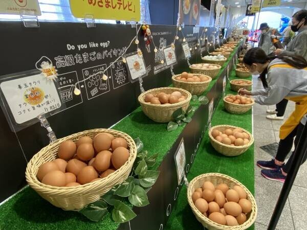 千葉県初出現！幻の卵屋さんが南船橋にやってくる！