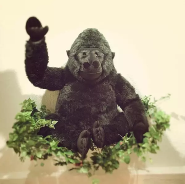 北新地駅徒歩2分『SETSALON Gorilla』は幅広いヘアセットに対応してくれるセット専門サロン！【求人：美容師（スタイリスト）も募集中です！】Findサービスで情報を公開中