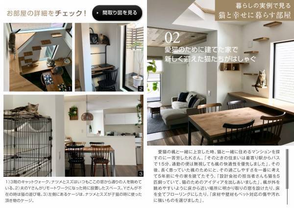 “猫吸い”で元気になる！？ 松井玲奈さん、2匹の保護猫との暮らしを語る 住宅・インテリア電子雑誌『マドリーム』Vol.42公開