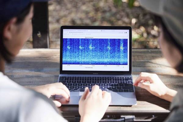 【西表島ホテル】野生生物モニタリング調査に参加するプログラム 「イリオモテ生物多様性スタディツアー」を実施します ～自然環境の保全について考える3泊4日の旅～｜期間：2022年12月26日～29日、2023年1月6日～9日