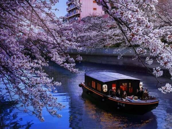 【星のや東京】オープントップバスで夜桜を堪能する「お花見ナイトバスクルーズ」や館内でお花見を楽しむ「お花見フロア滞在」今年も提供｜期間：2022年3月19日〜4月10日