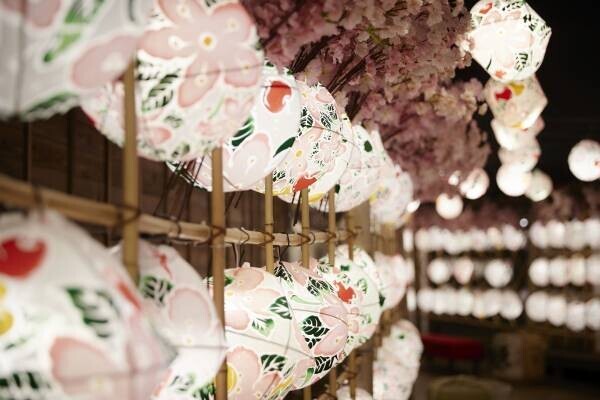 【青森屋】青森の春の訪れを祝うイベント「たんげ花咲かまつり」を開催 ～イベントシンボルとして「ねぶた花咲かじいさん」が登場～｜期間：2022年4月1日～5月31日