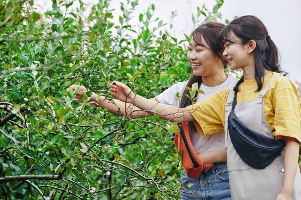 【BEB5土浦】早朝のサイクリングと旬のブルーベリーを楽しむ「朝活ブルーベリーサイクリング」開催｜期間：2022年7月20日〜8月20日