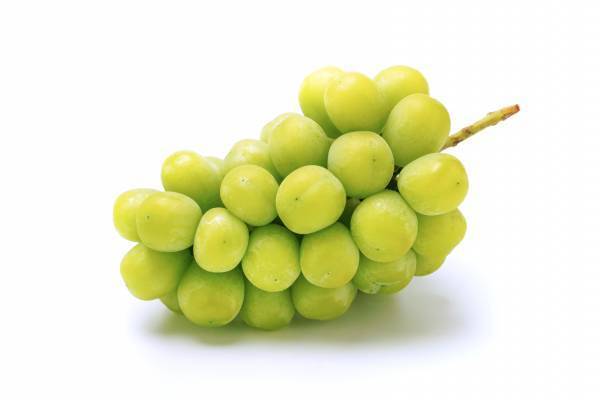 冷凍シャインマスカットの食感はシャーベット！？信州産採れたてシャインマスカットの冷凍スイーツに注目！