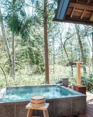 「この居心地がちょうどいい」を形にした、森に身を委ね心を開放するコンセプトルームがリニューアルオープン【みやぎ蔵王・遠刈田温泉／温泉山荘だいこんの花】