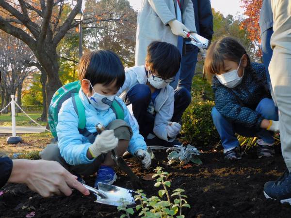 浮間公園に1万本のチューリップを！うきまガーデンカフェプロジェクトクラウドファンディング【2022年】