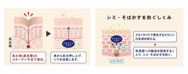 【日本初※1シワ改善 × 美白※2 × 敏感肌ケア、3つを叶える薬用スキンケア】有効成分「ナイアシンアミド」配合『NALC 薬用ホワイトリンクルローション』『NALC 薬用ホワイトリンクルセラム』『NALC 薬用ホワイトリンクルミルク』3月4日より楽天予約発売開始