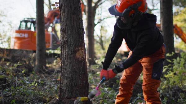 ◤全3部作完結◢　新潟県の森林紹介ムービー　“Forest Lovers NIIGATA”　第三弾が公開！
