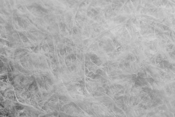 公式オンラインショップ送料無料キャンペーン