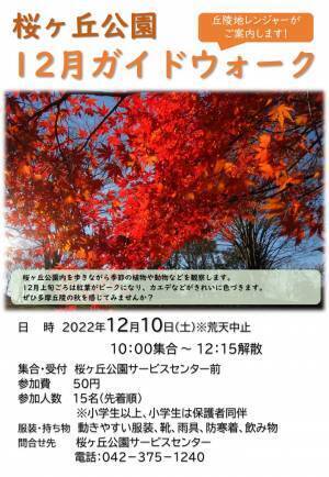 桜ヶ丘公園　12月のガイドウォーク