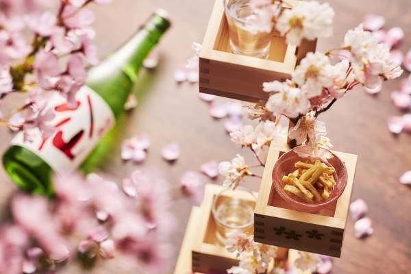 【青森屋】こたつに入って花見酒！肌寒い青森の春でもぬくぬく桜を楽しめる「花見こたつ」実施｜期間：2022年4月1日～5月31日