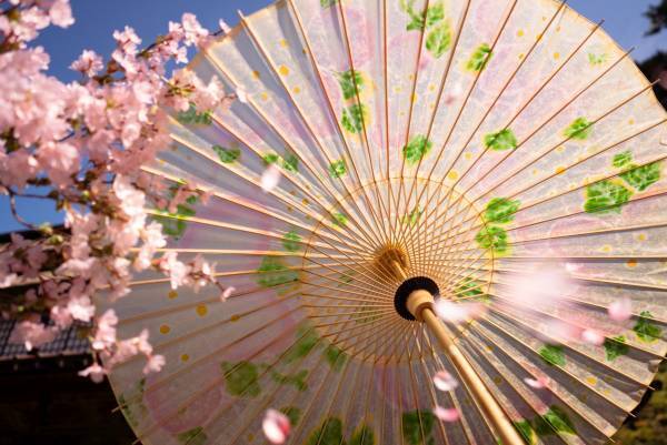 【青森屋】こたつに入って花見酒！肌寒い青森の春でもぬくぬく桜を楽しめる「花見こたつ」実施｜期間：2022年4月1日～5月31日