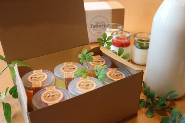 4/1(金)『Fattoria（ファットリア）』が沼津・武井牧場の牛乳と富士宮・青木養鶏場の富士の卵で本格「静岡とろ～りぷりん」が新発売