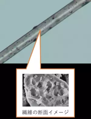 屋外のジメジメや屋内の冷え、変化が大きい温度・湿度環境でも快適に～機能性商品「コントロールα」シリーズから女性向けブラウスが新登場～