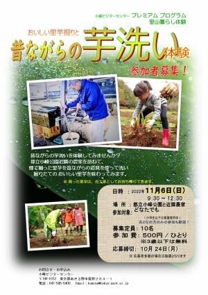 11月6日（日）小峰ビジターセンター「おいしい里芋堀りと昔ながらの芋洗い体験」