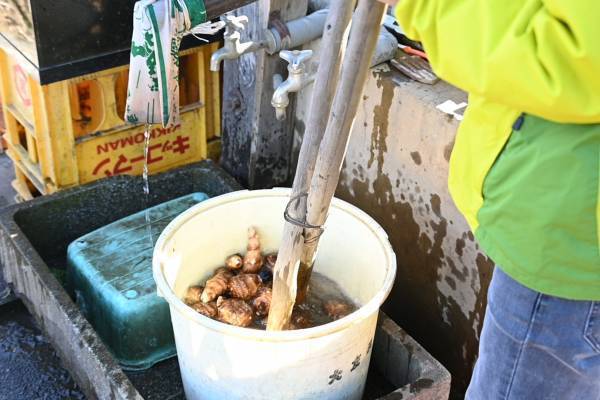 11月6日（日）小峰ビジターセンター「おいしい里芋堀りと昔ながらの芋洗い体験」