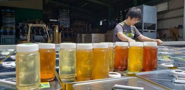 3月8日は「みつばちの日」 あなたにぴったりの“はちみつ”プレゼントキャンペーン